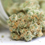 Alien labs BISKANTE 3.5G 3.5 grams