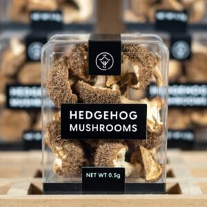 Hedgehog-Mushrooms